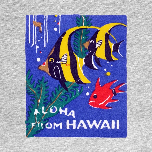 1930 Tropical Fish, Hawaii by historicimage